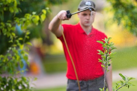 man spraying plants with Bobbex photo