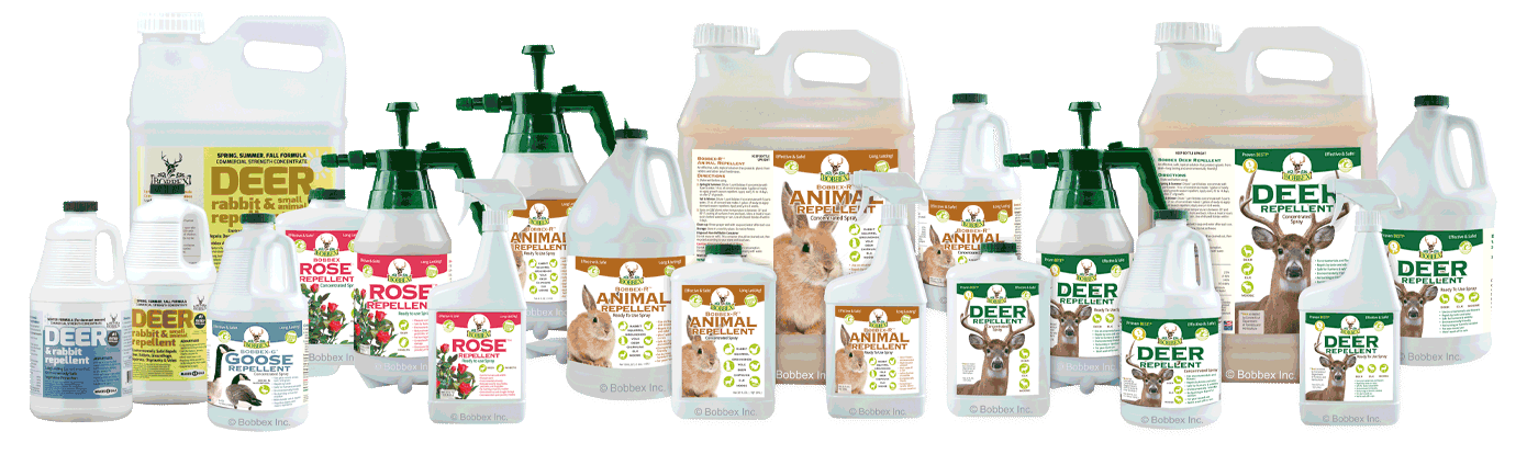 Bobbex Repellents | Deer Rabbit Small Animal | Buy Direct | Home