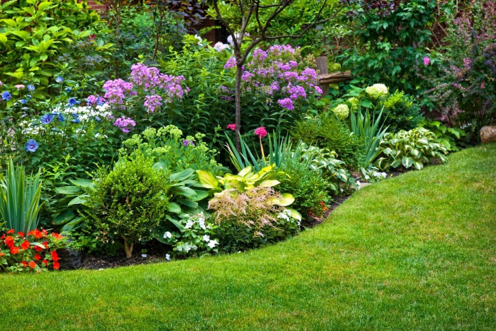 Healthy plants start with good soil, and planting at the right time and in the right place.